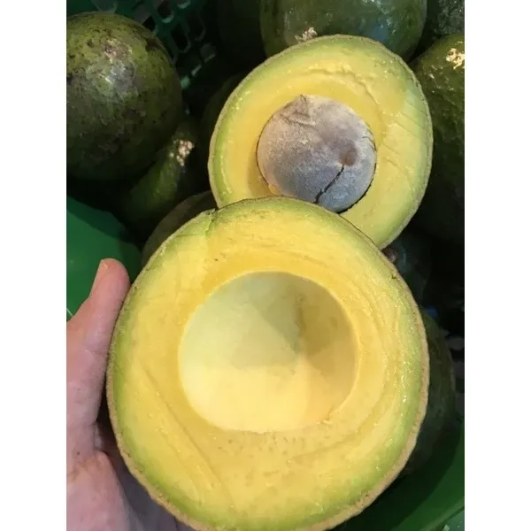 อะโวคาโดสด