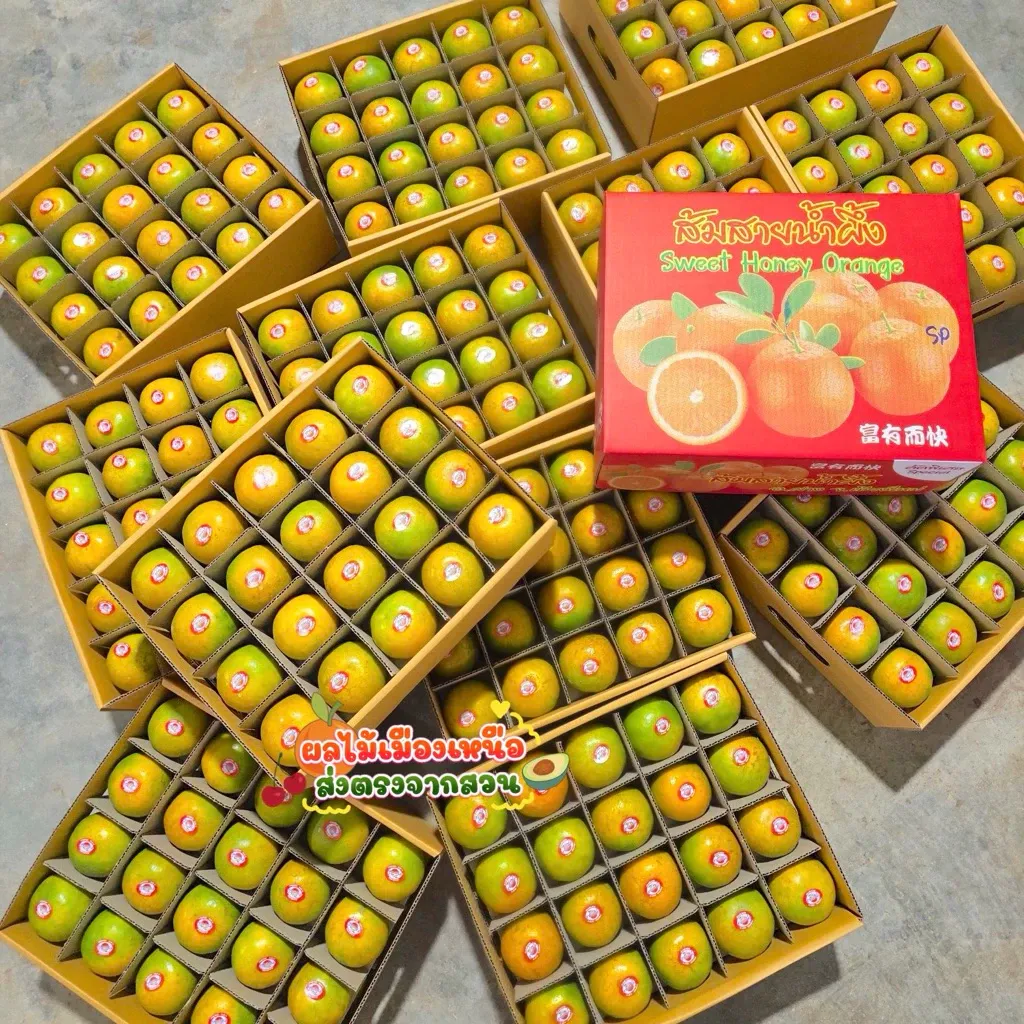 ส้มแพ็กพร้อมทาน